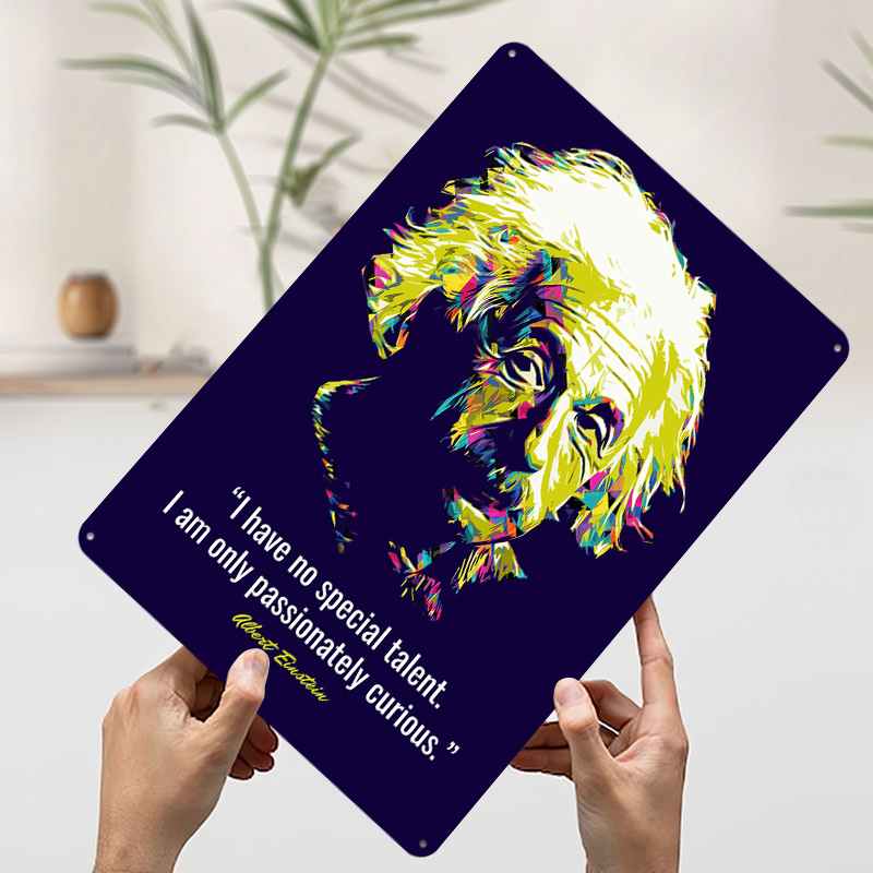 Albert Einstein Zitate Metallp – Retro Gaming Quotes Bewertung und Preis